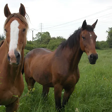 Premiere Classe Deauville Touques