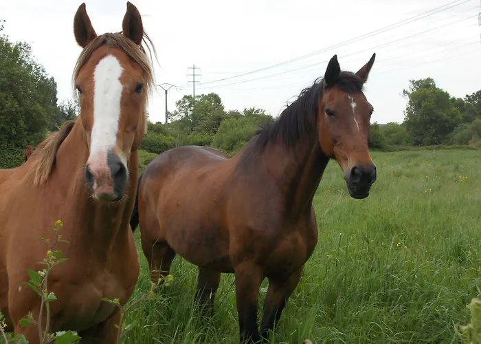 Premiere Classe Deauville Touques